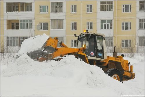 Путешествие за Полярный круг